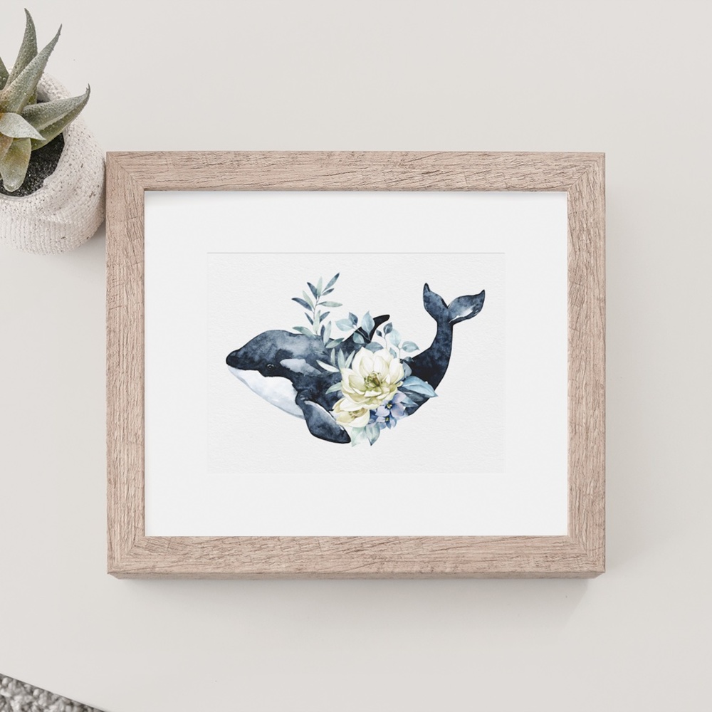 Watercolor Orca Whale Wall Art Illustration Print Poster Unframed - Picture 7 of 10